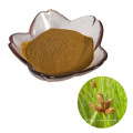 Hot Sale Herbal Plant Rhizoma Sparganii Root Extract powder used to stop pain